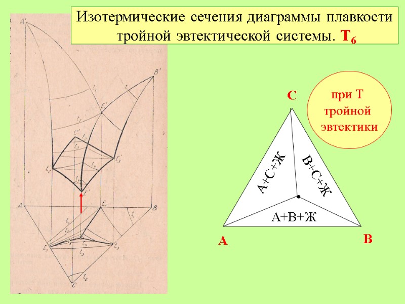 Изотермические сечения диаграммы плавкости  тройной эвтектической системы. Т6  при Т  тройной